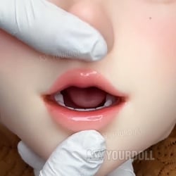 硬質の顎機能(歯と舌付き)