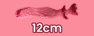 12cm