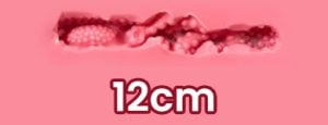 12cm