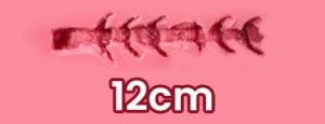 12cm