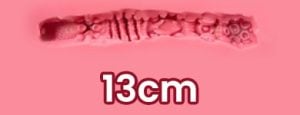 13cm