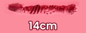 14cm